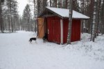 DSC 0235