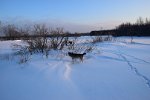 DSC 0454
